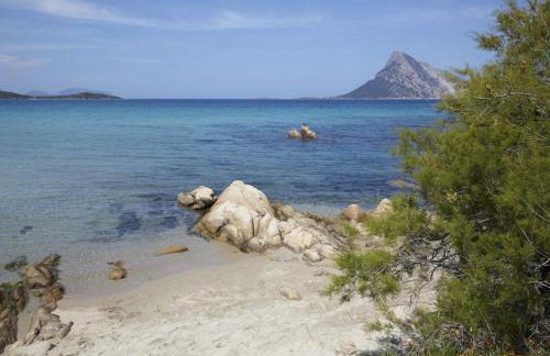 Appartamento Mare Sardegna Porto San Paolo - Foto 21