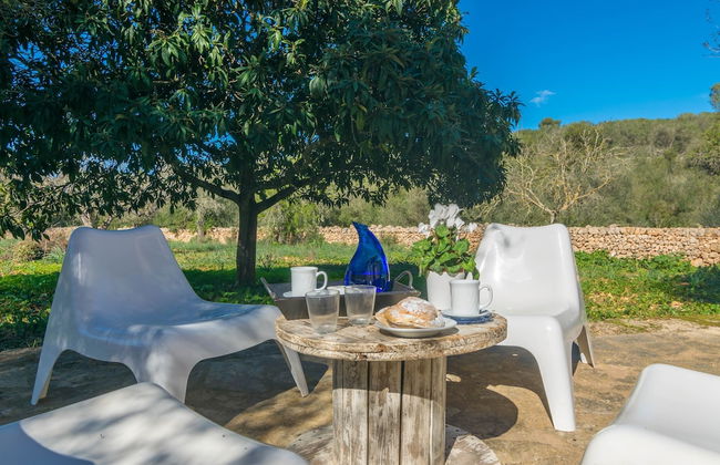 Can Pere Rapinya in Algaida - Foto 34