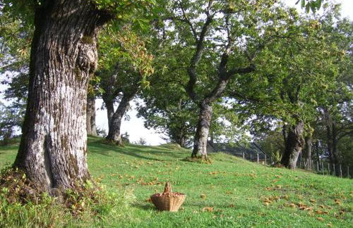 Agriturismo Il Falco del Monte Fumaiolo - Foto 42