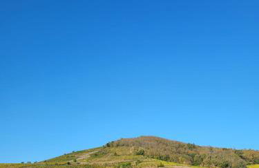 Gites Les Cépages - Foto 29