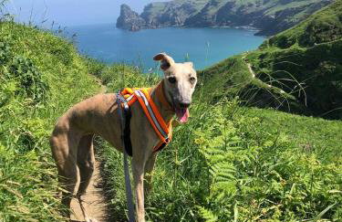 Plover Cottage at Trenale Court Cottages - Foto 14