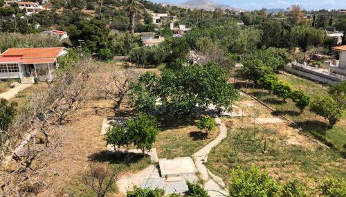 Seaview penthouse by the beach - Foto 5, Garden, Garden view