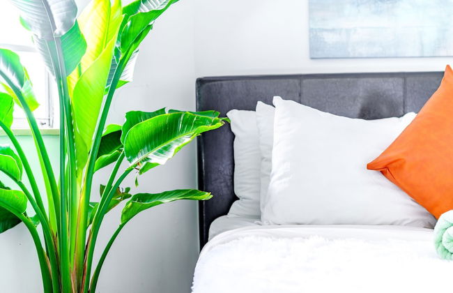 Short North Convention Private Parking Pets - Foto 57