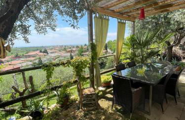 Garden Room - Foto 28