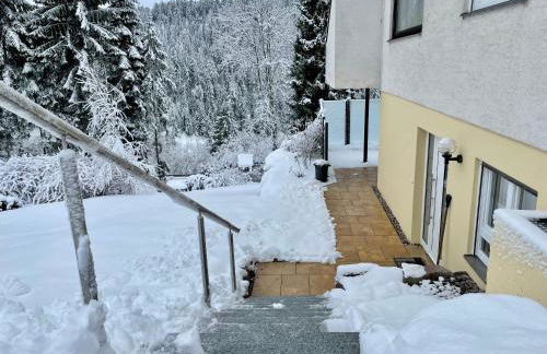 Haus Jenni im Schwarzwald, 3,5-Zimmer, große Terrasse - Foto 74