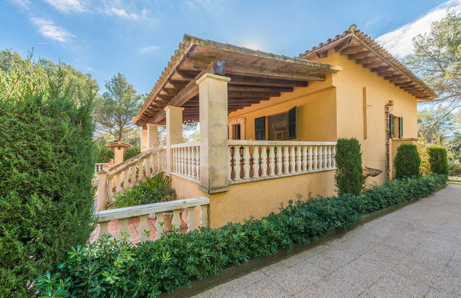 Els Pins in Sa Pobla - Foto 31