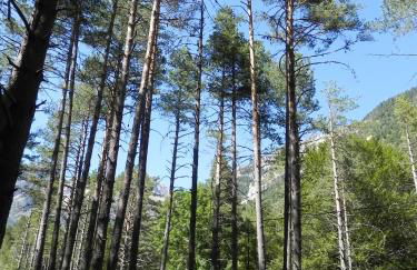 Caserón Baruca - Photo 9