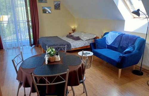 Hortensjowy Zakątek w Pieninach - Foto 10