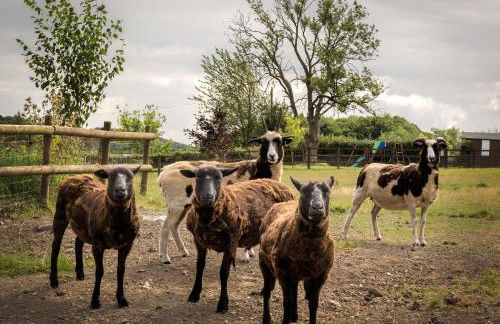 Oakerthorpe Holiday Village - Foto 42