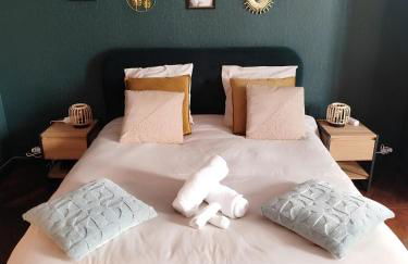 Nancy Vieille Ville Stanislas - Foto 56