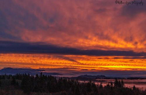 Welcome to Raven Ridge Lodge - where time slows - Photo 60