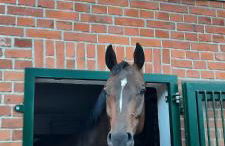 Gemütliches Gästehaus - Foto 36