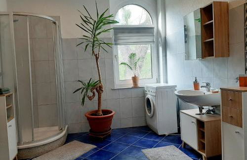 Fewo Rosenblüte am Stadtpark - Foto 6