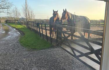 The Bungalow - Photo 18