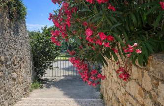 Gîte Le Figuier de Saint Ce Jardinet Terrasse Vue - Foto 12
