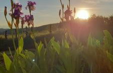 La croix des Landes gîte ou chambre d'hôte avec piscine à Chouvigny - Foto 45