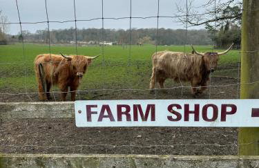 The Old stables Barn - Foto 26