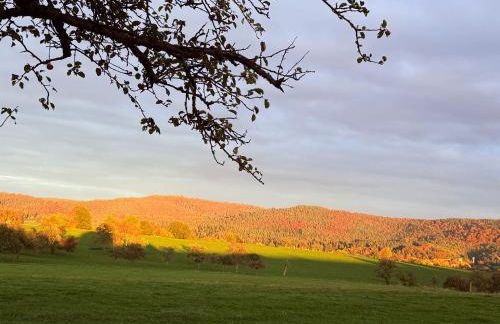 Ferienwohnung am Wald - Photo 14