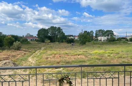 Elena M Fanari - Foto 34