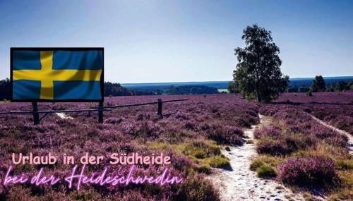 FeWo Schwedenhaus - Foto 2