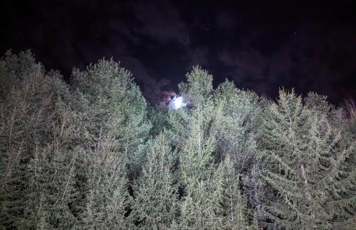 Swaying Pines Cabin w/EV Charger - Foto 31