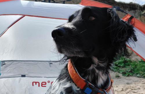 Hof am Meer "Seefalke" - Foto 26