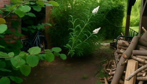 Mc Garry Apartments and Garden - Foto 3