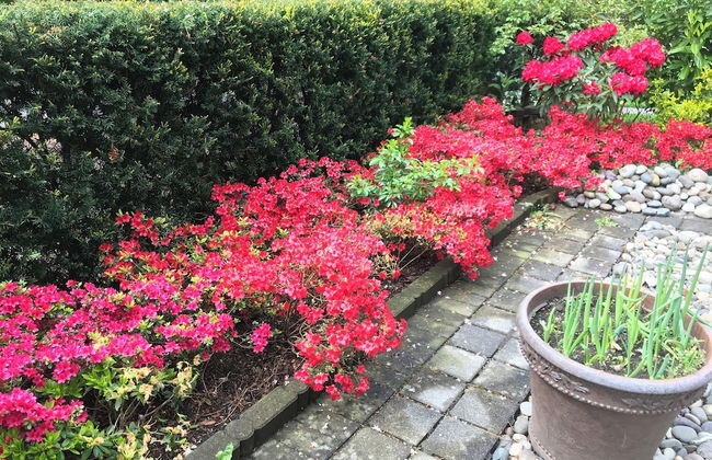 West Broadway guesthouse - Photo 55