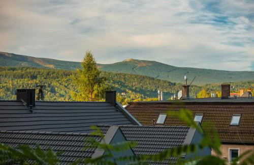 Apartament Widok - Foto 35