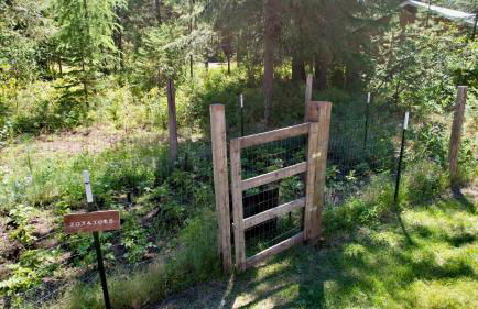 Boulder Creek Cabin by Casago McCall - Donerightmanagement - Foto 45