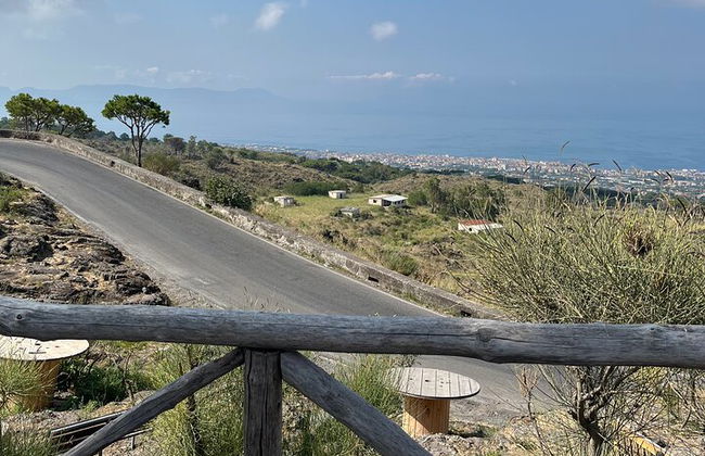 Visit Mt Vesuvius & Pompeii skip the line tickets all inclusive - Photo 6