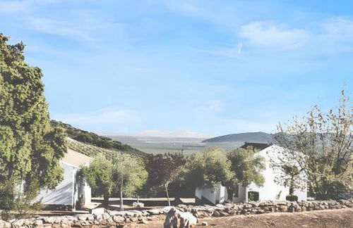 Comfortable House in Estepa with Shared Pool - Photo 15