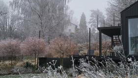 Czarnydomek - Foto 3