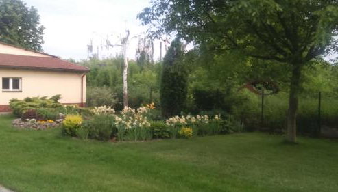 Apartamenty Warka - Photo 3