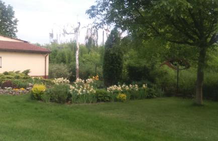 Apartamenty Warka - Foto 3