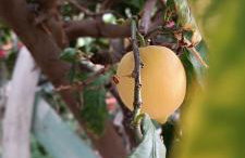 Seaside Apartment 2 - Photo 20