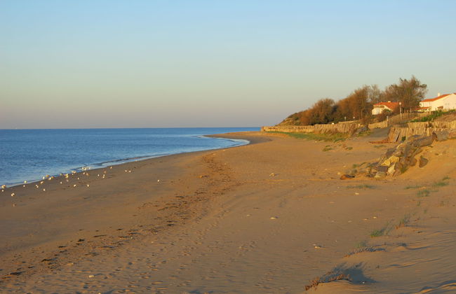 Les Etrilles - Foto 16