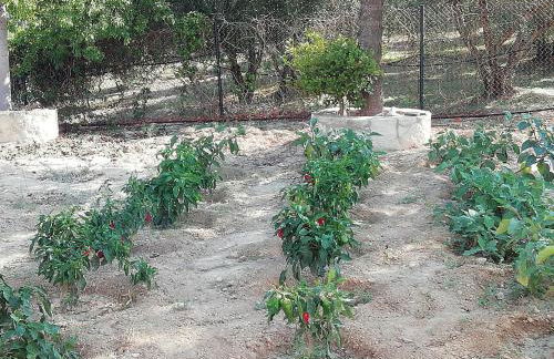 Eden Garden Luxury Loft near Knossos - Photo 37