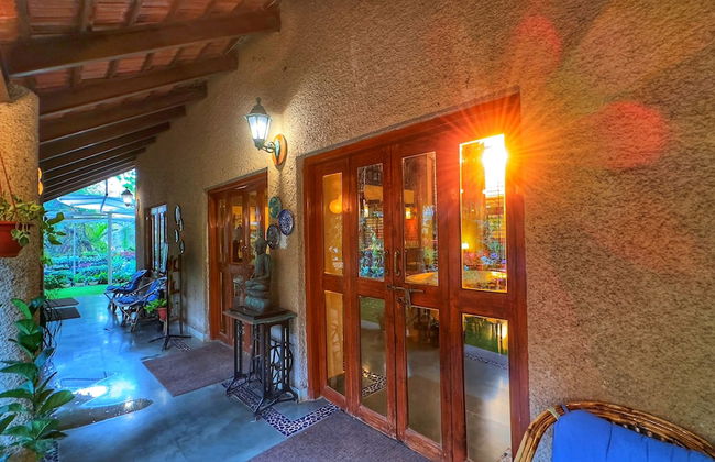 Peace Lily Cottage - Photo 30