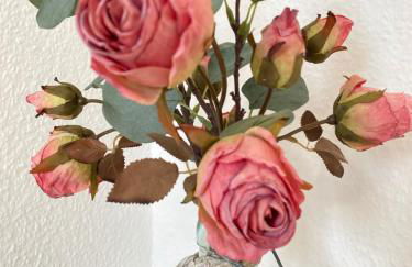 K2-Project - Midcentury-Smart-Home am Kaßberg - Foto 11