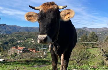 Agriturismo Terra e Cielo - Photo 35