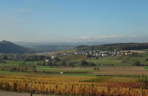 Weingut-Ferienwohnung Jungblut - nur Urlaubsgäste - Foto 16
