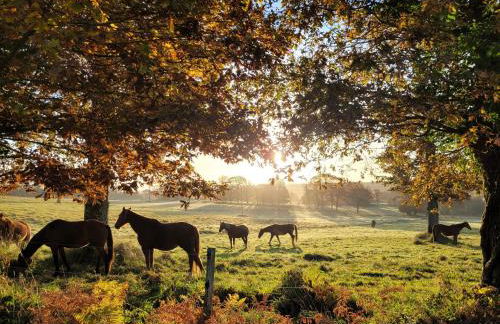 Le Cottage de la Doucette - Foto 19