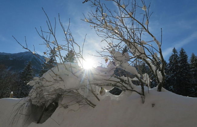 Nagelsmederij in het Huis Waldwinkel - Foto 12