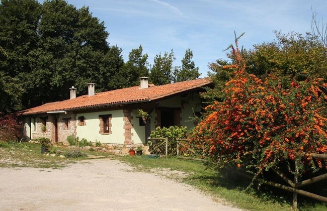 Los Acebos de Peña Cabarga - Foto 57