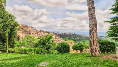 La casa Monte Oliveto - Photo 3, Garden