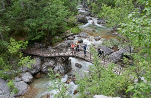 Olympus Theophilia villas - Foto 23