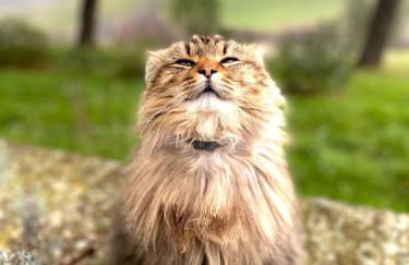 Agriturismo Sole - Foto 69