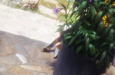 Seaside Green Villa - Foto 37