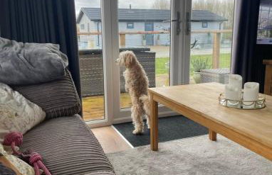 Hunters Lodge - Hot Tub -Pet friendly - Yorkshire - Foto 41